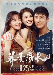 日系tickle美女全身vk